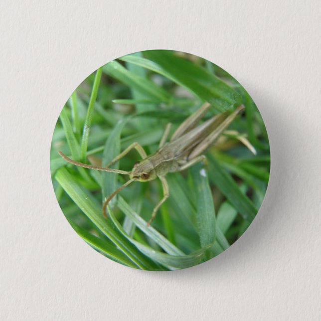 Grasshopper Button (Front)