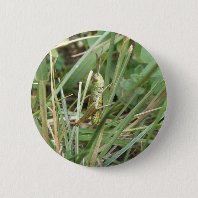 Grasshopper Camouflage Button (Front)