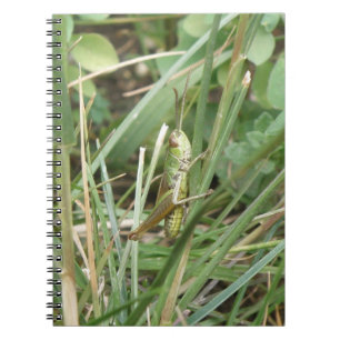 Grasshopper Camouflage Notebook