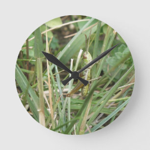 Grasshopper Camouflage Wall Clock