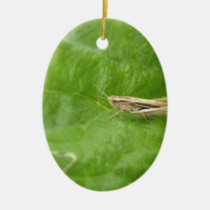 Grasshopper Ceramic Tree Decoration