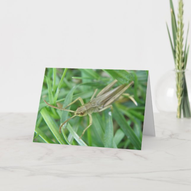 Grasshopper Customisable Greeting Card (Front)