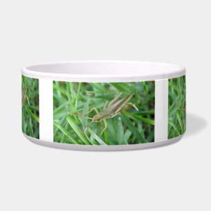 Grasshopper Dog Bowl