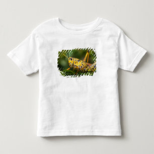 Grasshopper, Everglades National Park, Florida, Toddler T-Shirt
