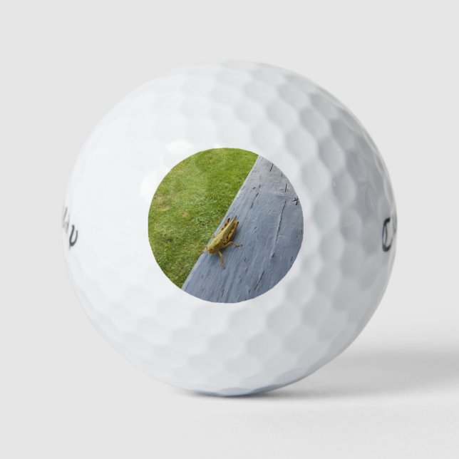 GrassHopper Golf Balls (Front)