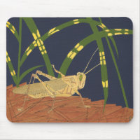 Grasshopper in Green Grass on Blue Background