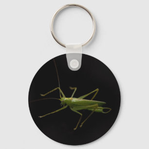 grasshopper key ring