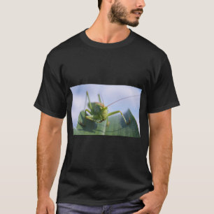 Grasshopper Nature Graphic T-Shirt
