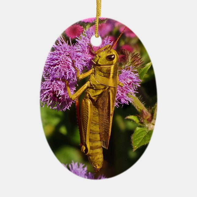 Grasshopper on Ageratum Ceramic Tree Decoration (Front)
