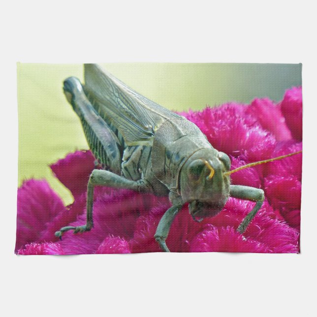 Grasshopper on Cockscomb Tea Towel (Horizontal)