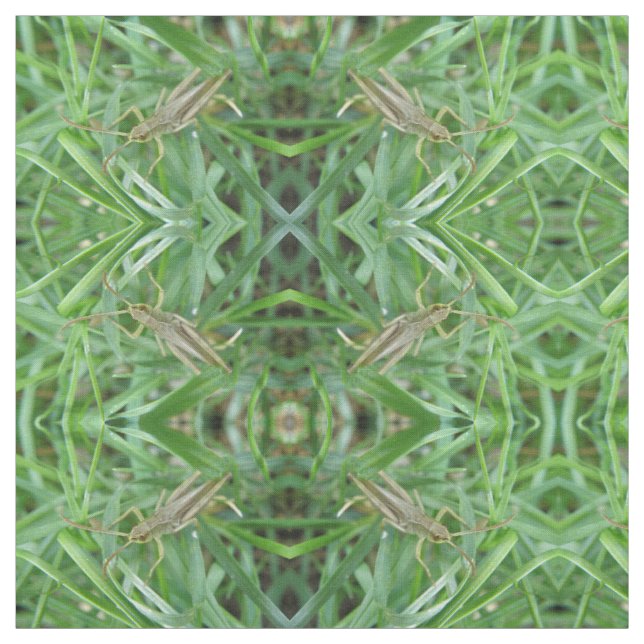 Grasshopper Patterned Craft Fabric (Swatch)
