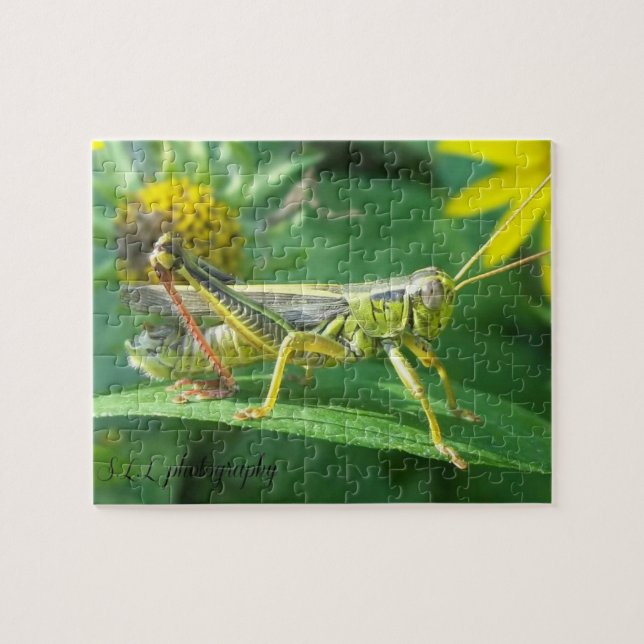 Grasshopper Photography Puzzle w/gift box (Horizontal)