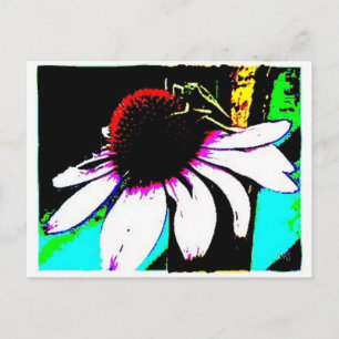 Grasshopper Postcard