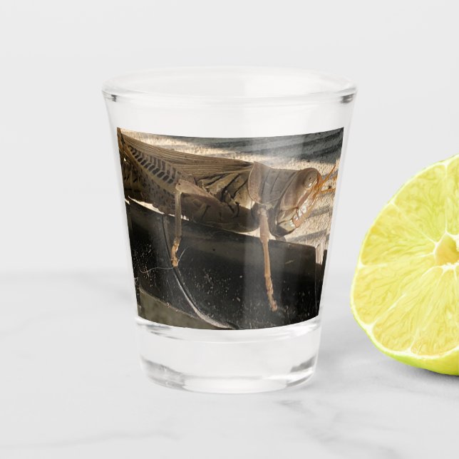 Grasshopper Shot Glass (Front)