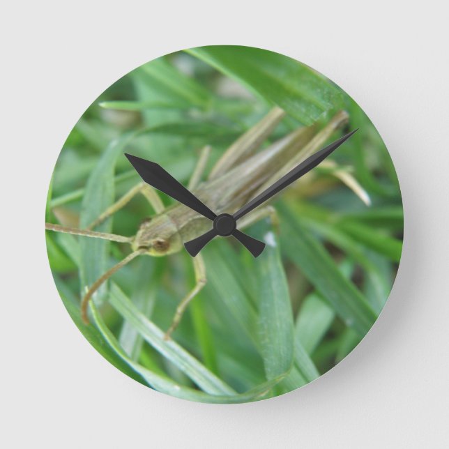 Grasshopper Wall Clock (Front)