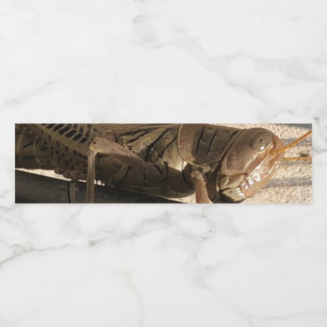 Grasshopper  water bottle label (Single Label)