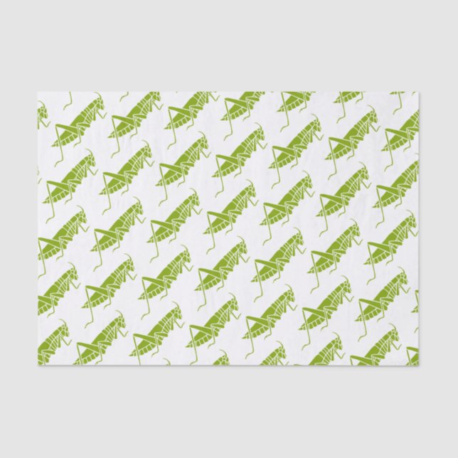 Grasshoppers Tissue Paper (Front)