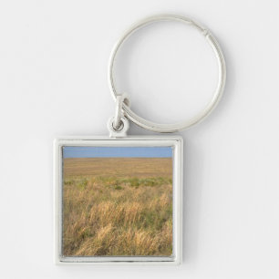 Grassland prairie east of Sidney, Nebraska. Key Ring