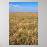 Grassland prairie east of Sidney, Nebraska.