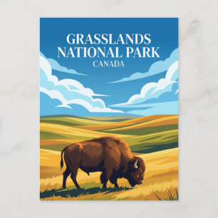 Grasslands National Park Canada Postcard
