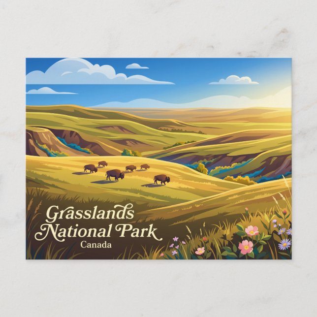 Grasslands National Park Canada Postcard (Front)
