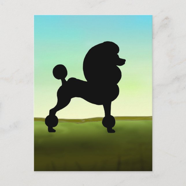 Grassy Field Standard Poodle Postcard (Front)