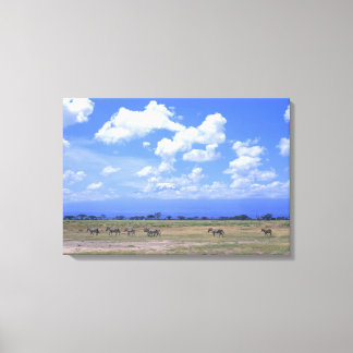 Grassy Plain Canvas Print