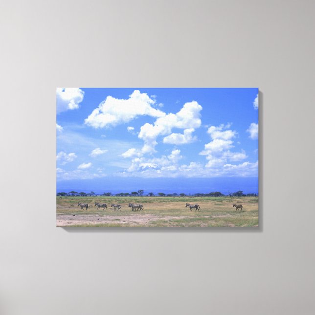 Grassy Plain Canvas Print (Front)
