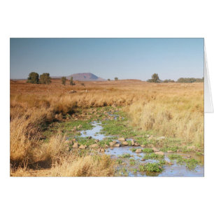 Grassy Plateau and Stream, Golan Heights, Israel