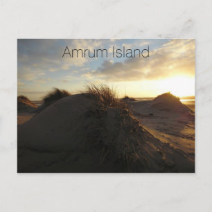 Grassy Sand Dunes at Sunset, Amrum Island, Germany Postcard