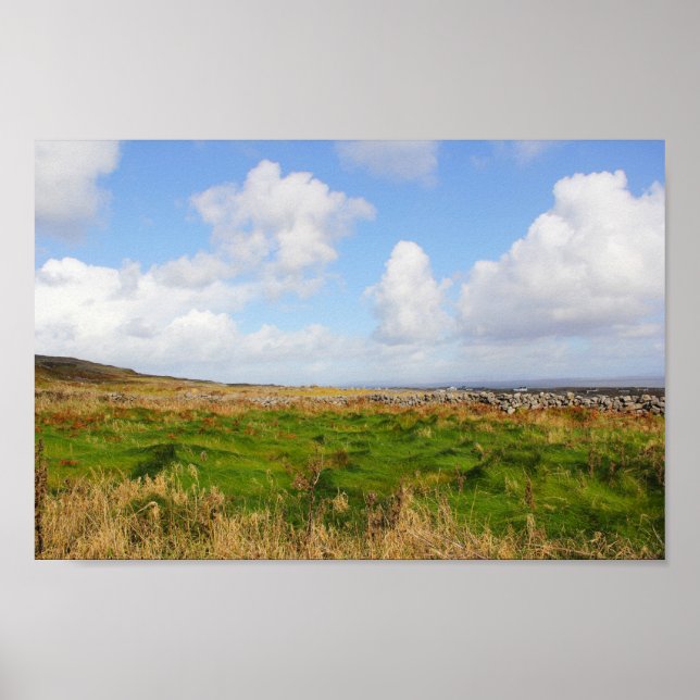 Grassy Waves Poster (Front)