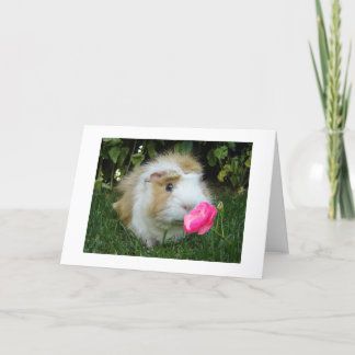 GRATEFUL GERBIL HAPPY IT'S "YOUR" BIRTHDAY NOT HIS CARD