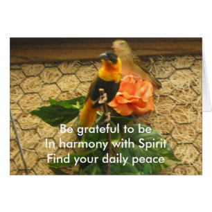 Grateful Haiku/Birds On Card