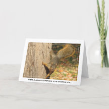 Grateful Squirrel Blank Note Card
