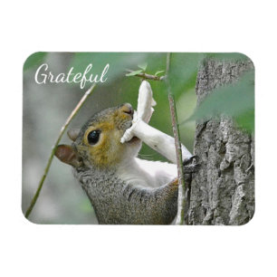 Grateful Squirrel Magnet
