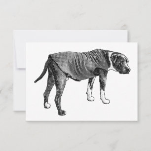 Grateful Vest, Steady Thanks Thank You Card