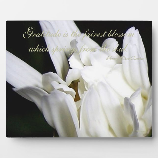 Gratitude Daisy Plaque (Front)