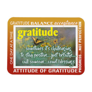 gratitude inspiration magnet