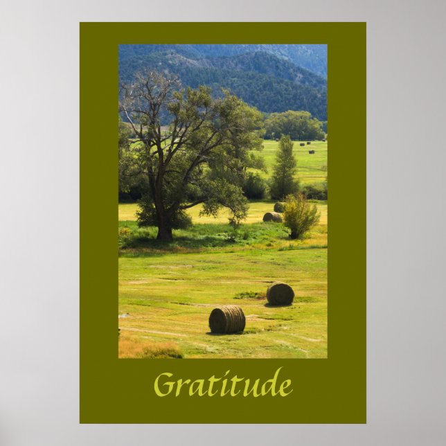 Gratitude Inspirational Poster (Front)