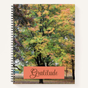"Gratitude" Phrase Autumn Maple Tree Painting Notebook