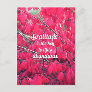 Gratitude Postcard