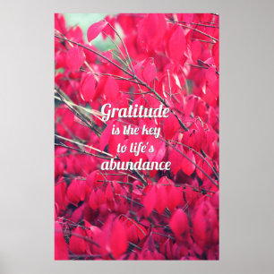 Gratitude Poster