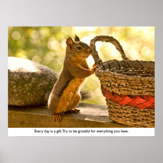 Gratitude Squirrel Poster