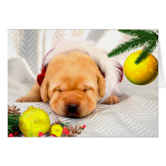 Gratitude week 2 Yellow