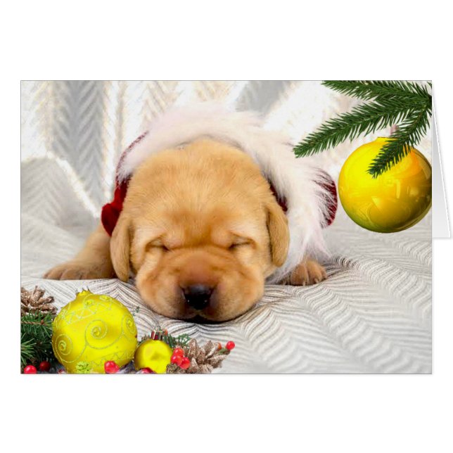 Gratitude week 2 Yellow (Front Horizontal)