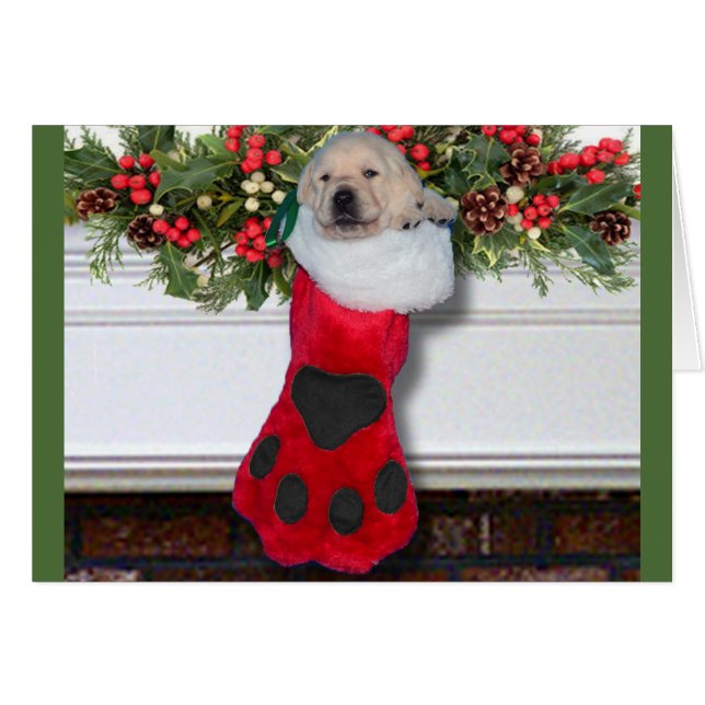 Gratitude week 3 Black (Front Horizontal)