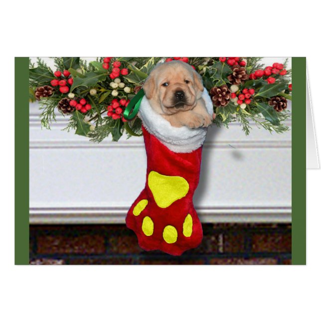 Gratitude week 3 Yellow (Front Horizontal)