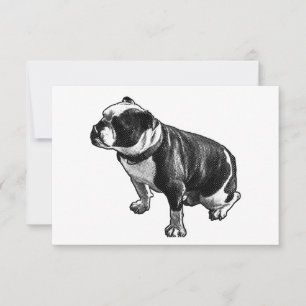 Gratitude Without Noise Thank You Card