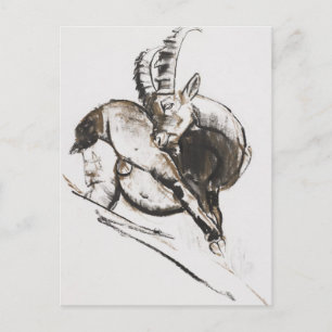 Grattarsi Postcard