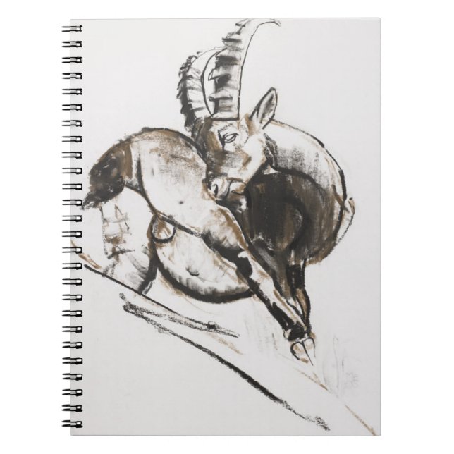 Grattarsi Spiral Notebook (Front)